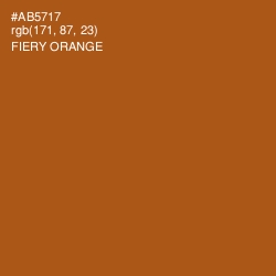#AB5717 - Fiery Orange Color Image